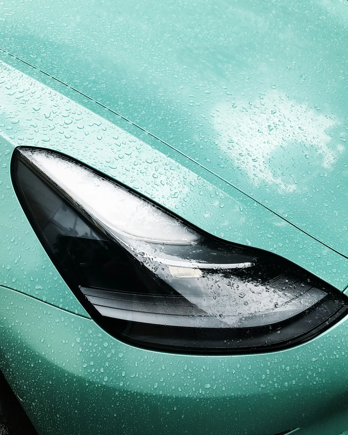 Professionelle Montage einer transparenten Lackschutzfolie an einem Fahrzeug